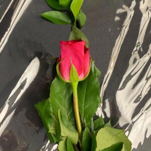 Mini Bouquet